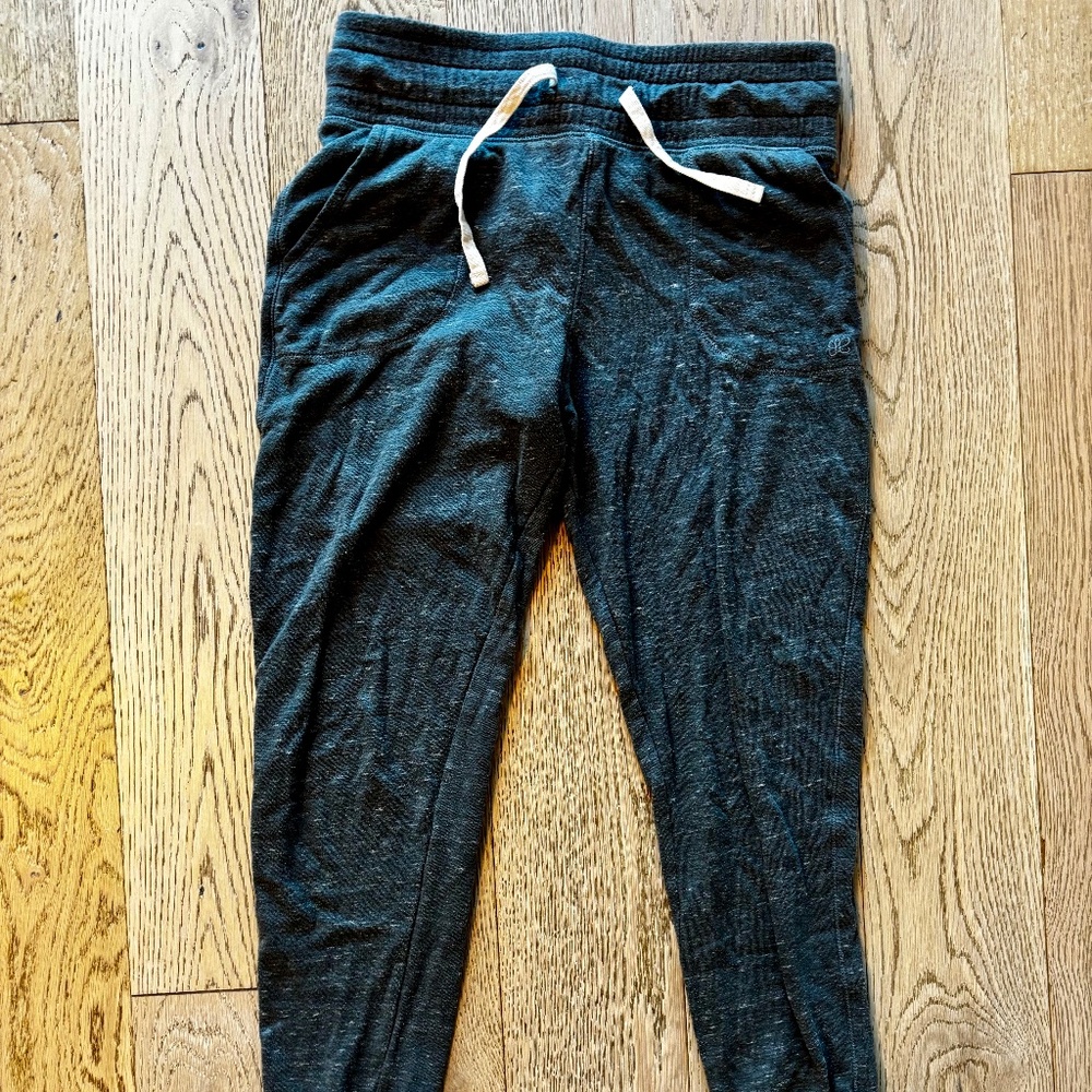 Albion Fit Cabin Fever Joggers